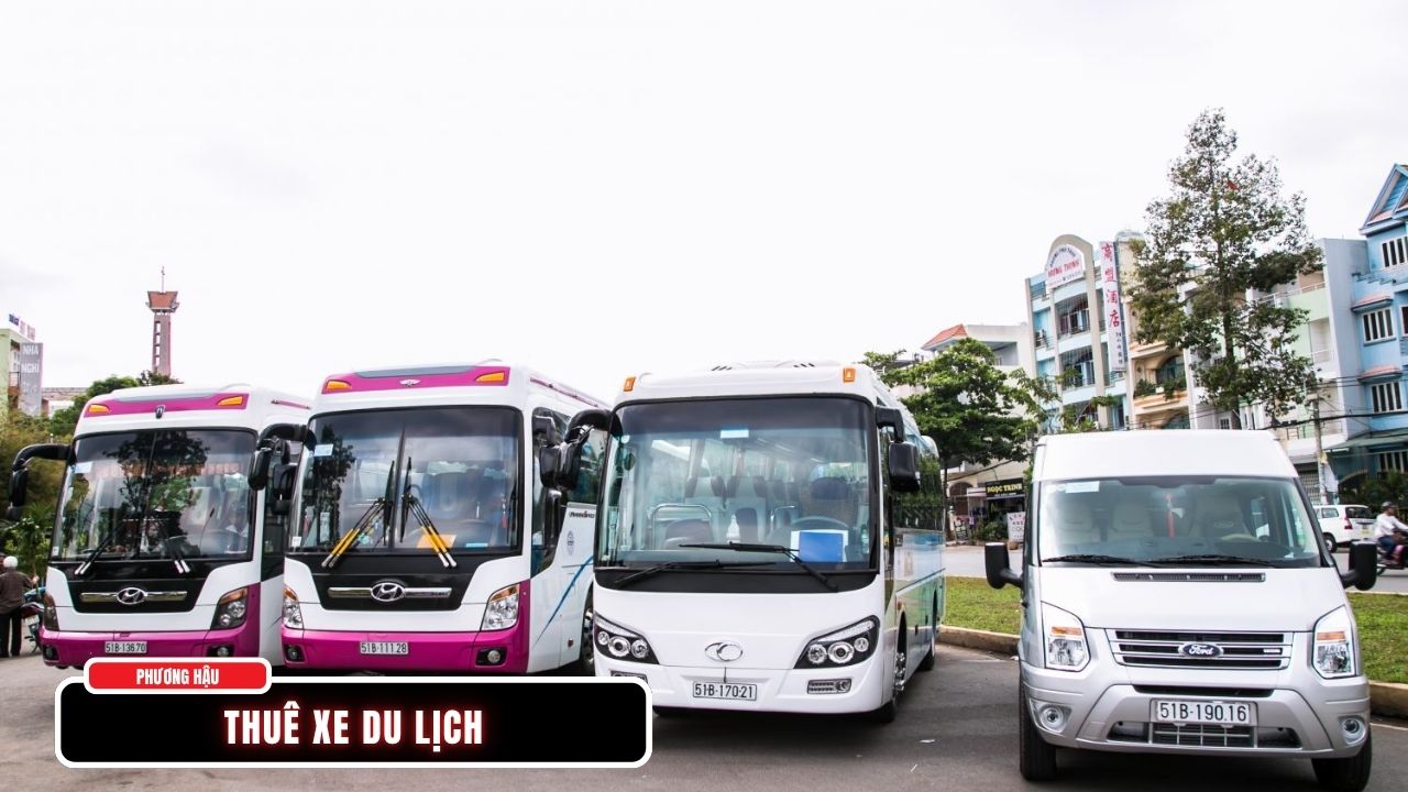 Thuê Xe Du Lịch Phương Hậu: Đảm Bảo An Toàn, Xe Đời Mới, Giá Tốt