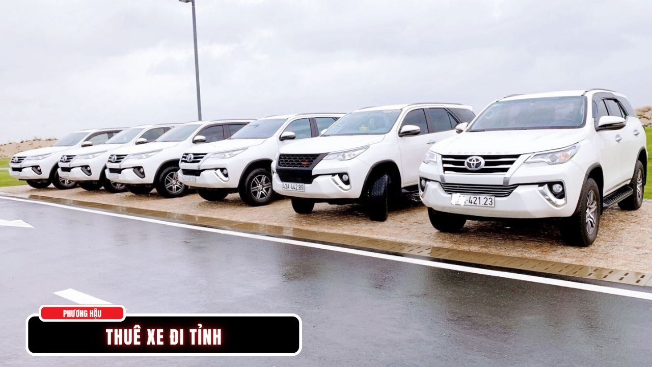 Thuê Xe Đi Tỉnh Giá Rẻ, Đời Mới 4-45 Chỗ Kèm Tài Xế