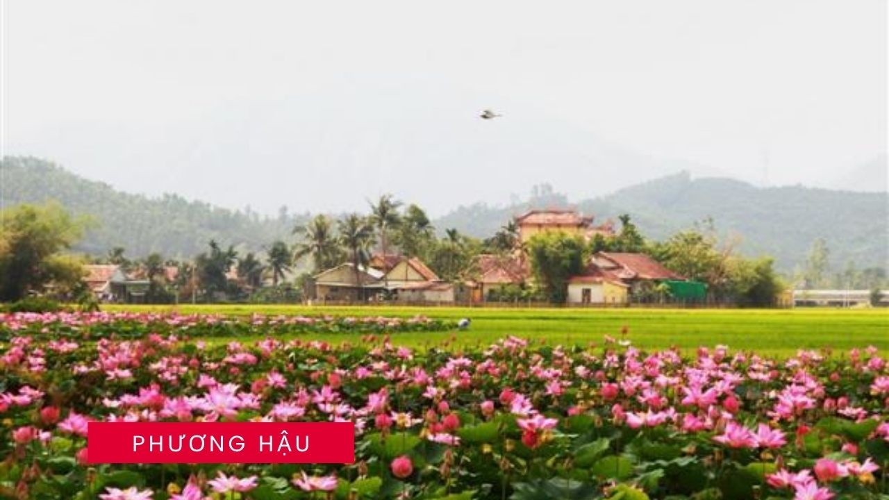 Xe 7 chỗ đời mới (ví dụ: Toyota Innova/Fortuner) của Thuê xe Phương Hậu sẵn sàng phục vụ chuyến Thuê Xe Đi Đồng Tháp an toàn, nhanh chóng qua cao tốc.