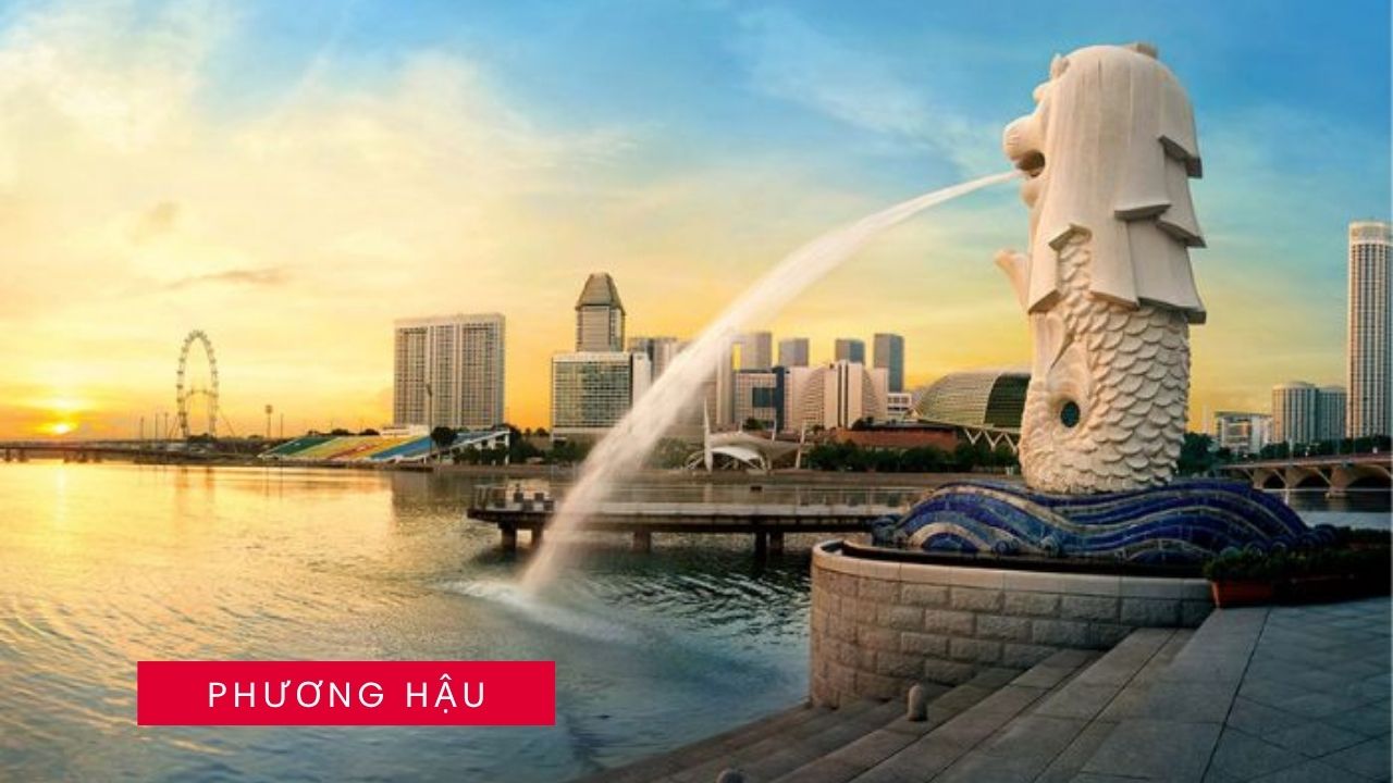 Thuê xe đi long an